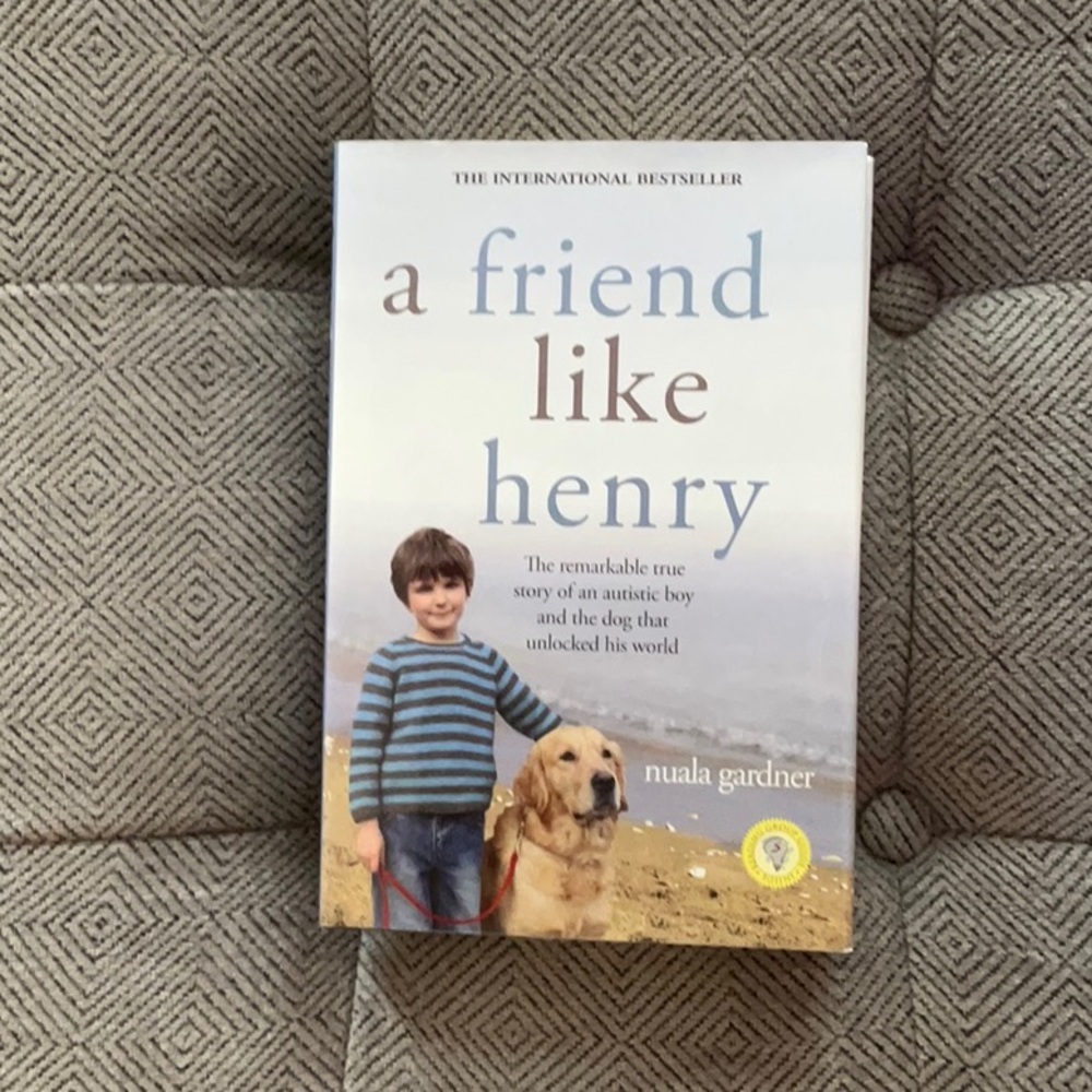 Novel: A Friend Like Henry by Nuala Gardner